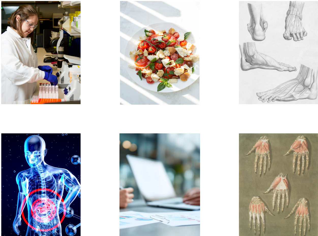 学会発表イメージ